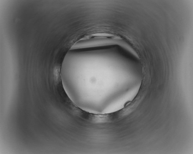 X0000112360240200908271259