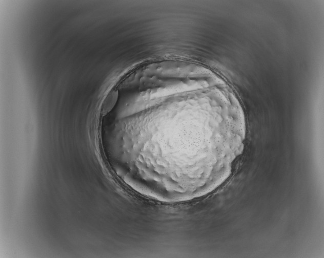 X0000112360241200908271259