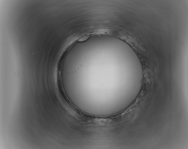 X0000112360242200908271259