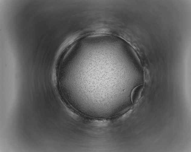 X0000112360245200908271259