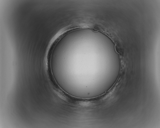 X0000112360246200908271259