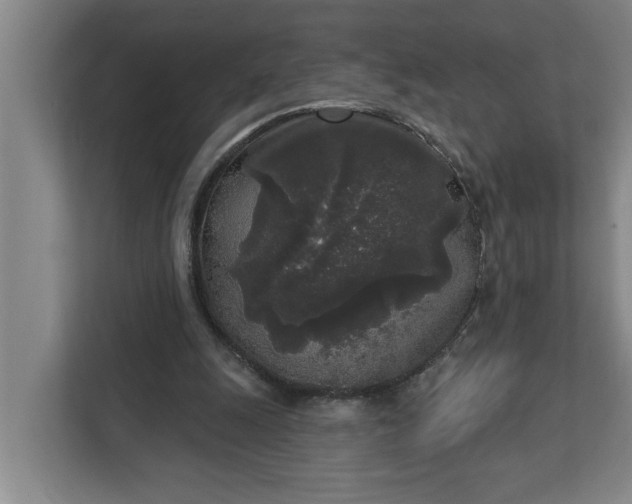 X0000112360247200908271259