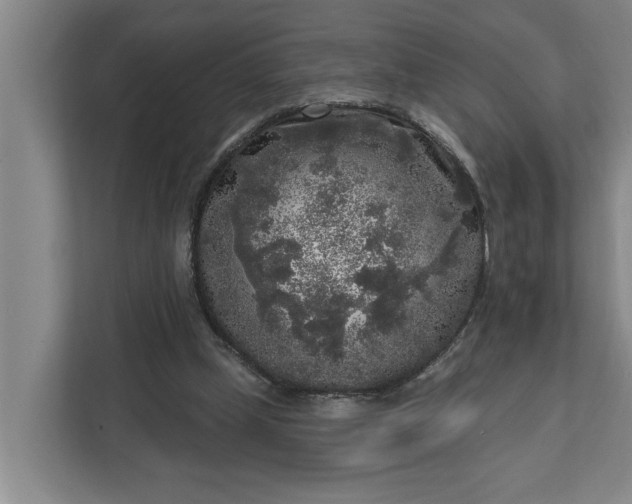 X0000112360249200908271259