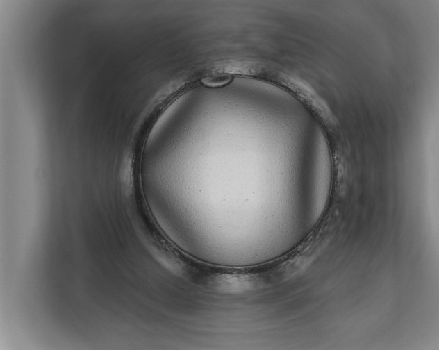 X0000112360250200908271259