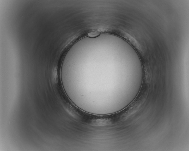 X0000112360251200908271259