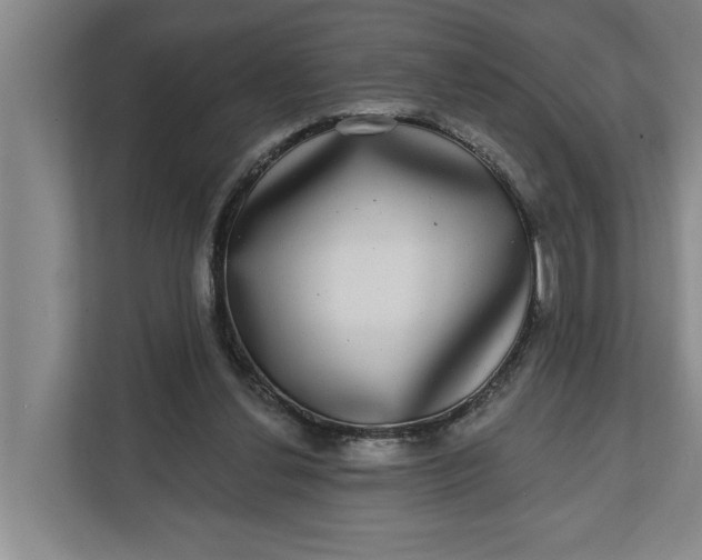 X0000112360252200908271259