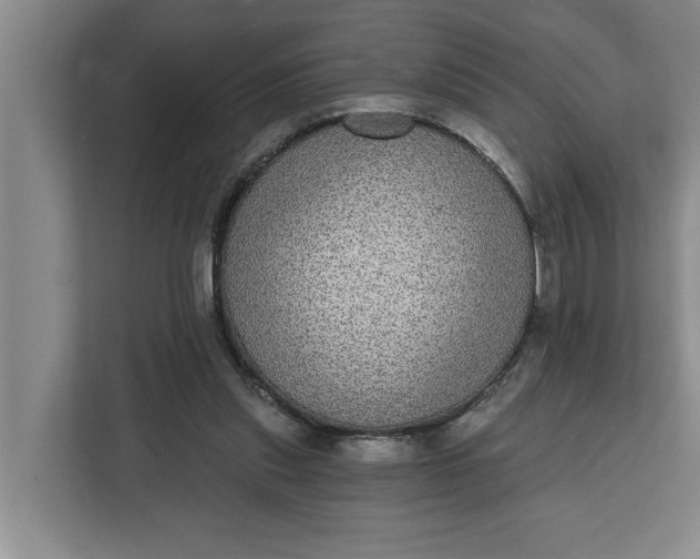 X0000112360253200908271259