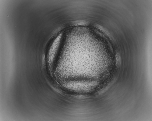 X0000112360254200908271259