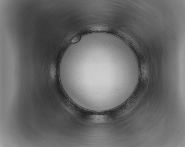 X0000112360255200908271259