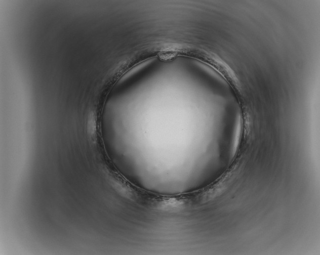 X0000112360257200908271259