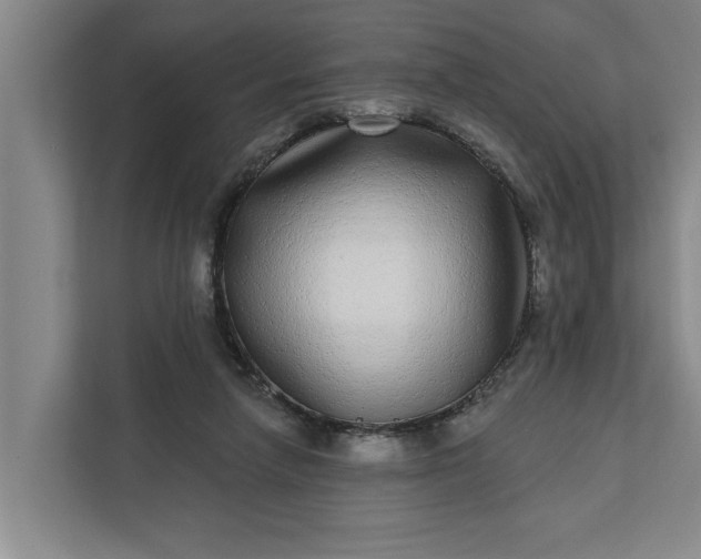 X0000112360258200908271259