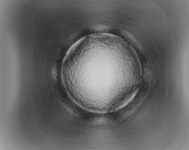 X0000112360259200908271259