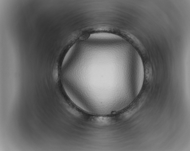 X0000112360261200908271259