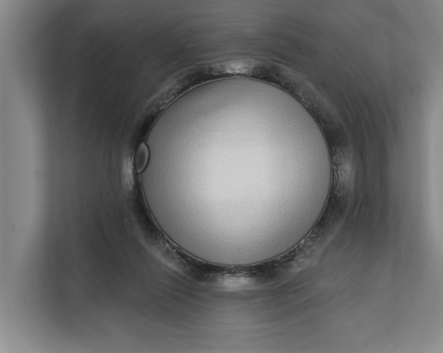 X0000112360262200908271259