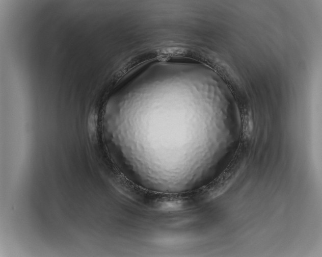 X0000112360263200908271259