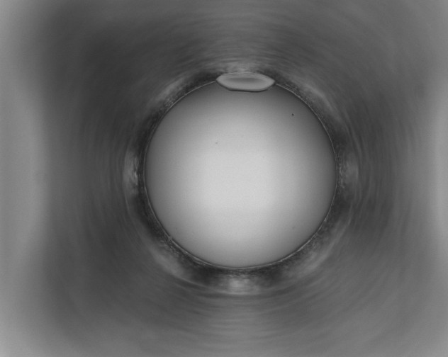 X0000112360264200908271259