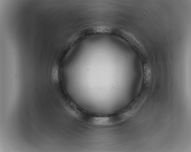 X0000112360266200908271259