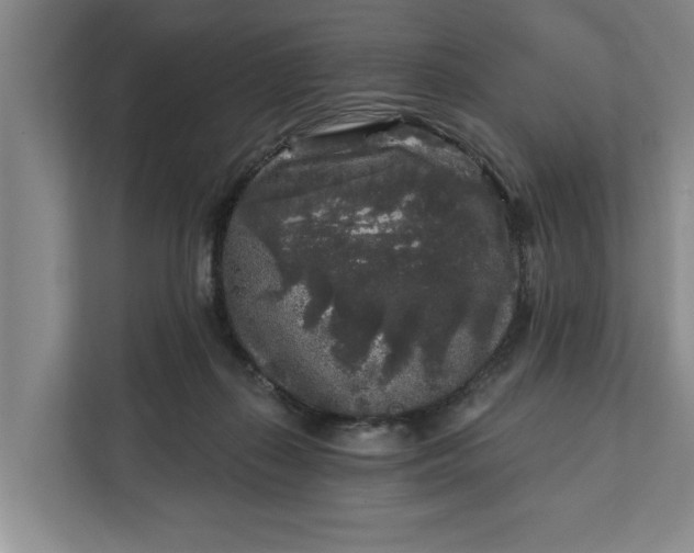 X0000112360267200908271259