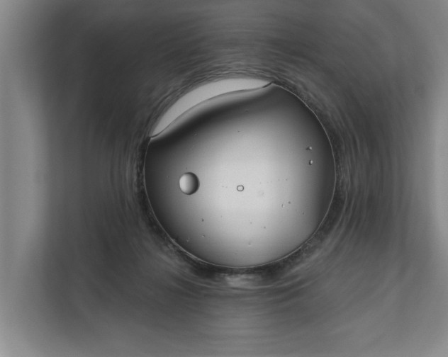 X0000112360268200908271259