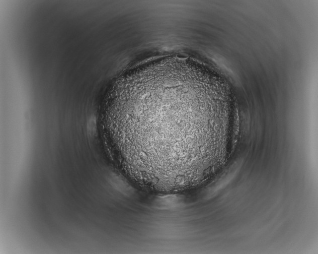 X0000112360269200908271259