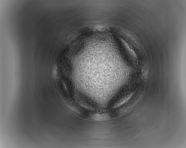 X0000112360270200908271259