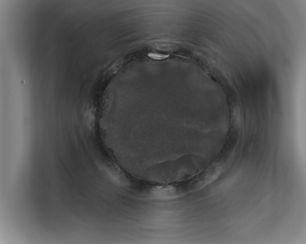 X0000112360271200908271259