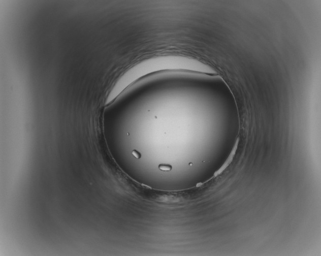 X0000112360272200908271259