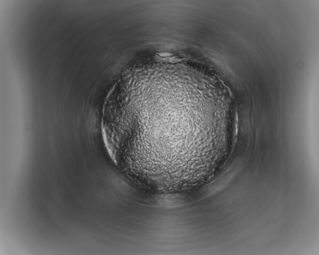 X0000112360273200908271259