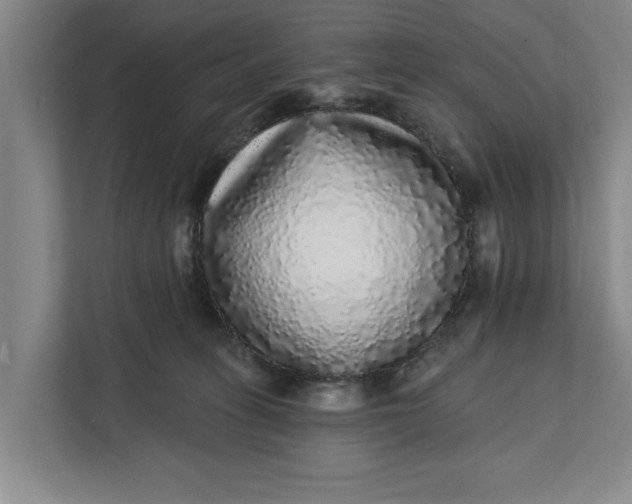 X0000112360275200908271259