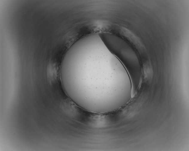 X0000112360276200908271259