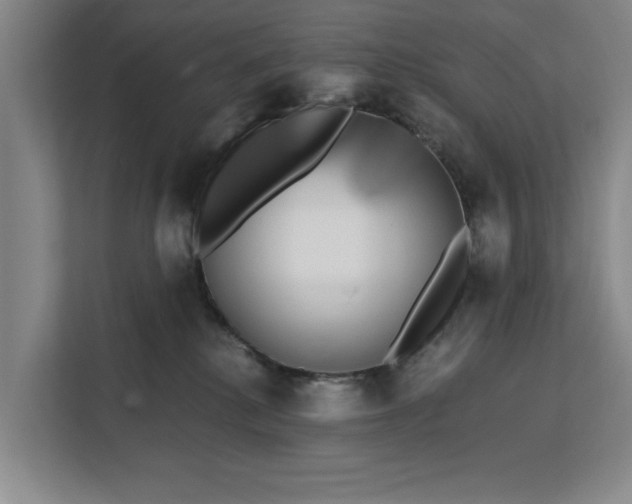 X0000112360280200908271259