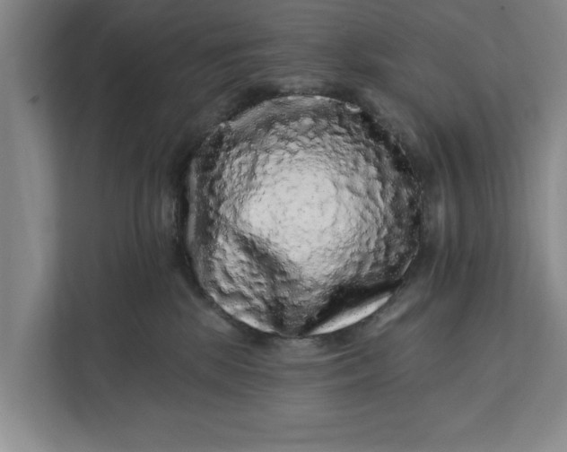 X0000112360281200908271259