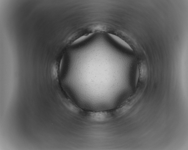 X0000112360282200908271259