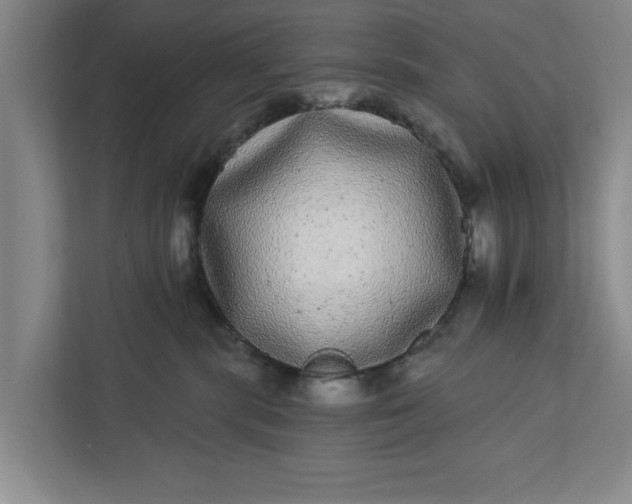 X0000112360283200908271259