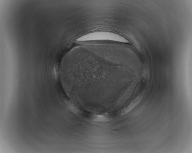 X0000112360285200908271259