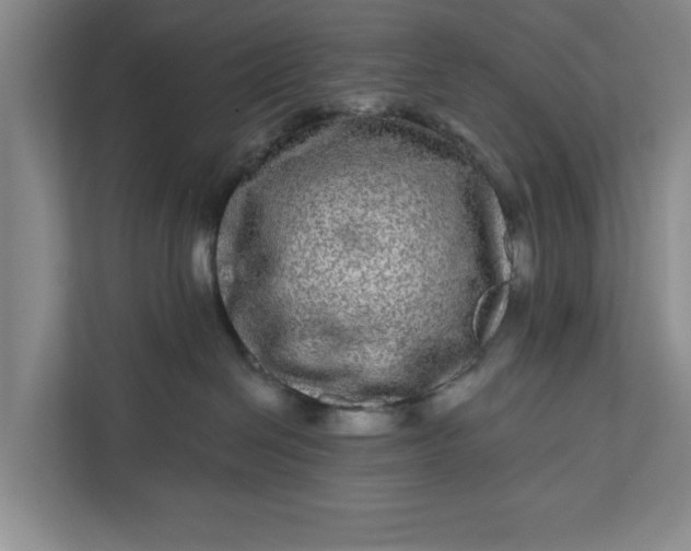 X0000112360286200908271259