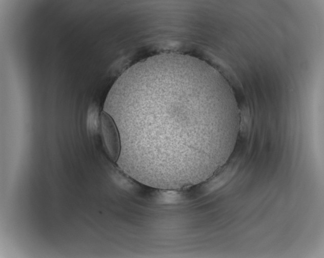 X0000112360287200908271259