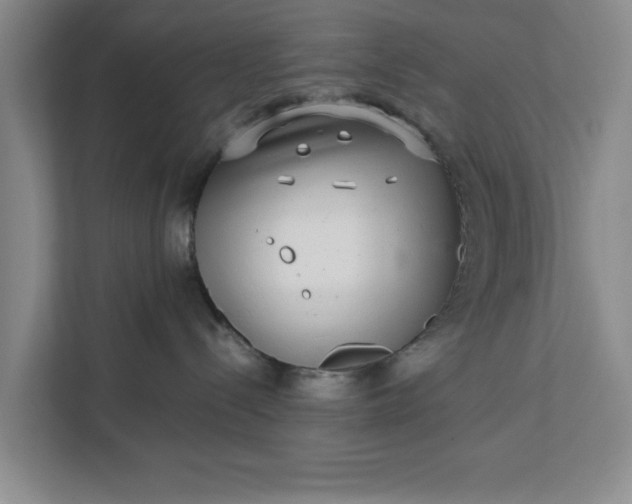 X0000112360288200908271259