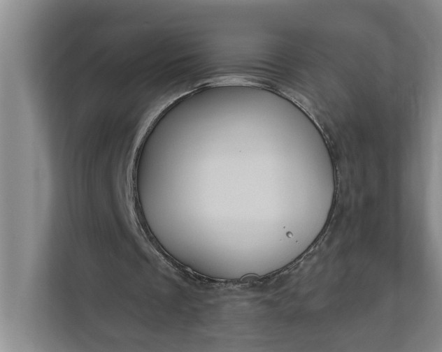 X0000112360289200908271259