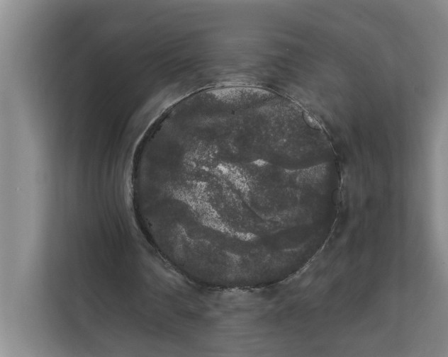 X0000112360290200908271259