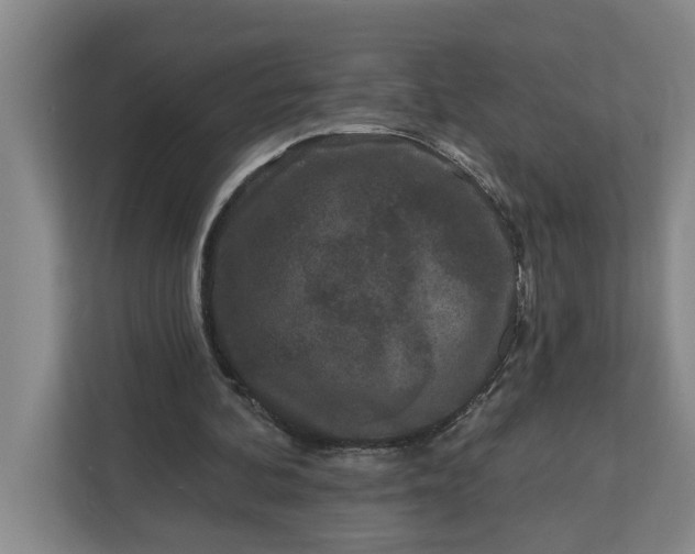 X0000112360292200908271259