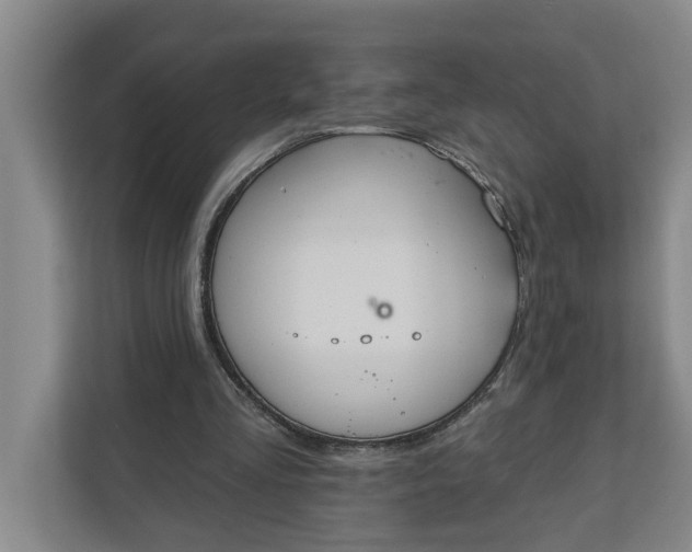 X0000112360293200908271259