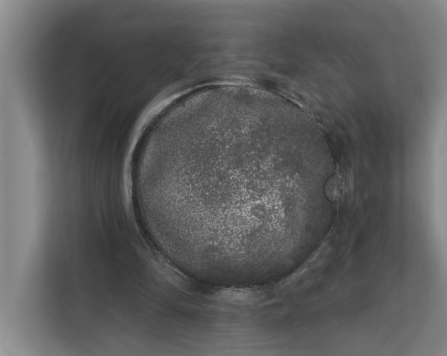 X0000112360294200908271259