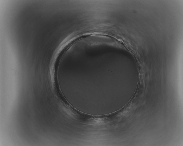 X0000112360295200908271259