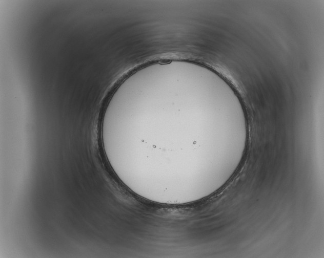 X0000112360297200908271259