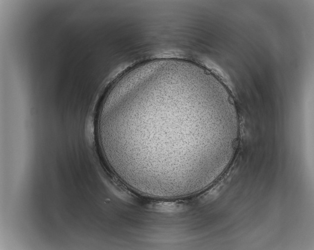 X0000112360298200908271259