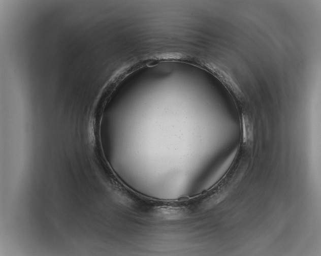 X0000112360300200908271259