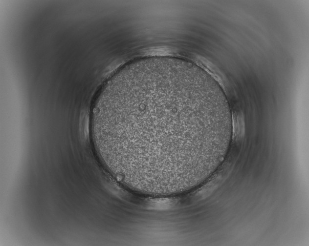 X0000112360301200908271258