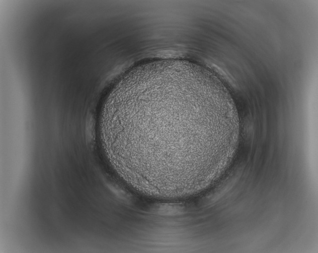 X0000112360303200908271258