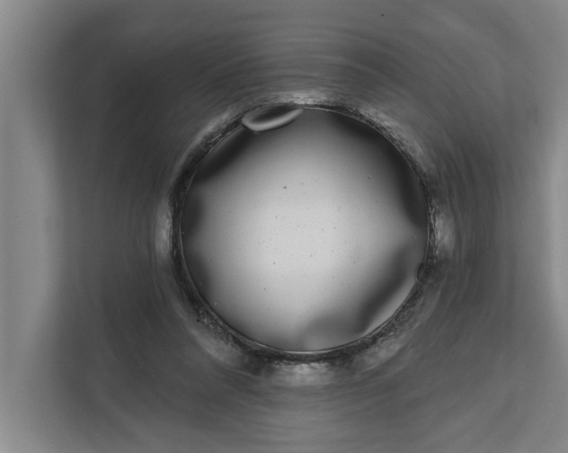 X0000112360304200908271258